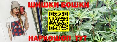 шишки Славгород