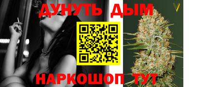 шишки Славгород