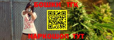 шишки Славгород