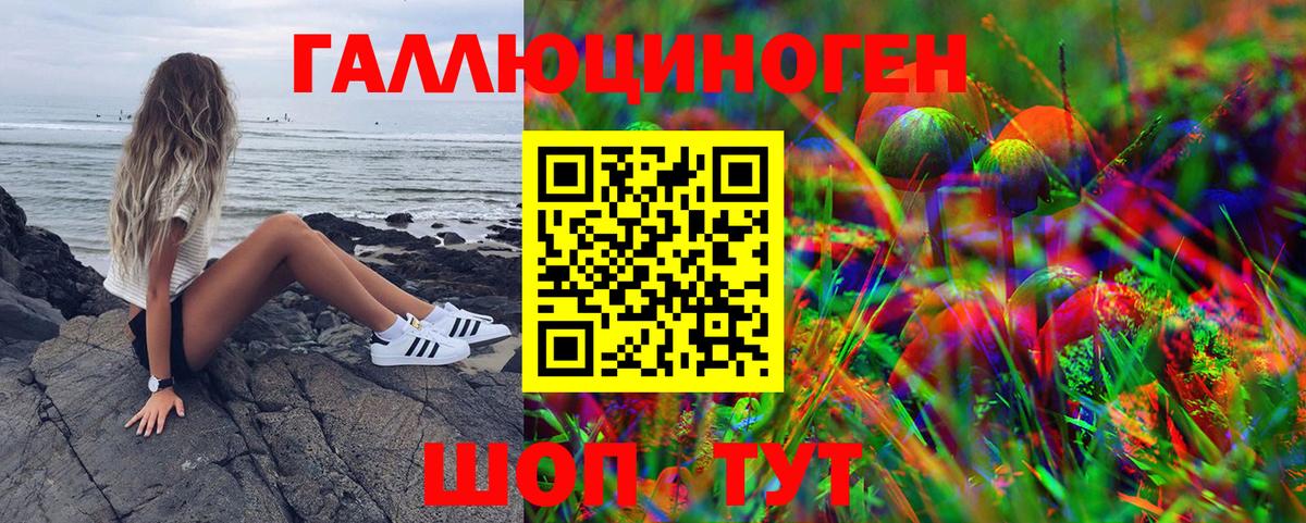 Галлюциногенные грибы Psilocybine cubensis Новосибирск