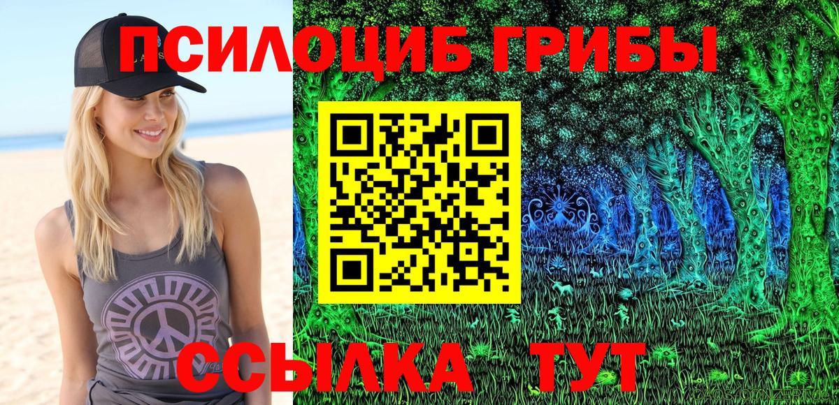 Новосибирск  Галлюциногенные грибы мицелий  Вход с VPN 
